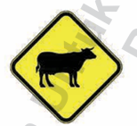 TERNAKAN MELINTAS

Isyarat bagi bahagian jalan yang selalu dilintasi oleh lembu, biri-biri atau ternakan lain.